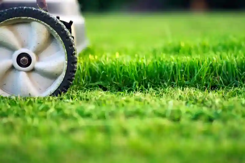 Can you mow wet grass in Van Nuys, CA 