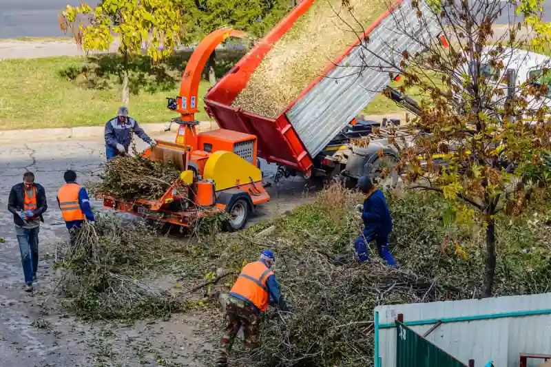 How To Clean A Backyard in Van Nuys, CA 