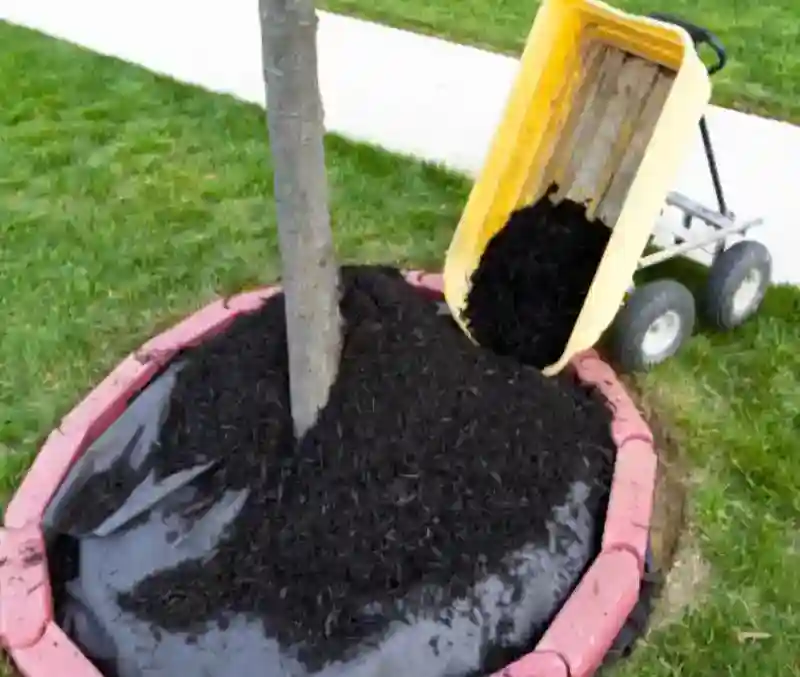 Reliable Mulching Service in Van Nuys, CA 