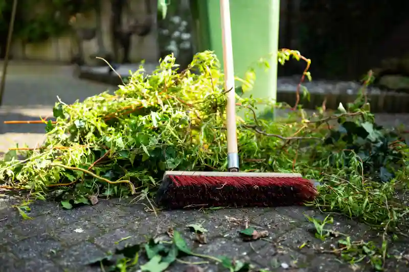 How to clear a yard full of weeds in Van Nuys, CA 