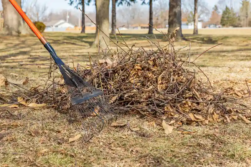 How to clear a yard full of weeds in Van Nuys, CA 