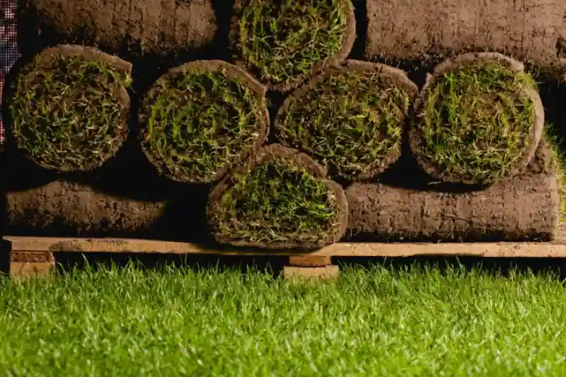 How to lay sod over existing lawn in Van Nuys, CA 