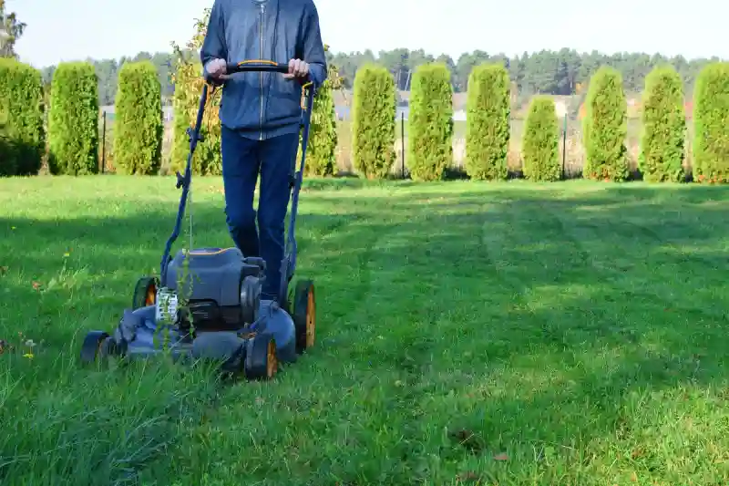 How to mow a lawn in Van Nuys, CA
