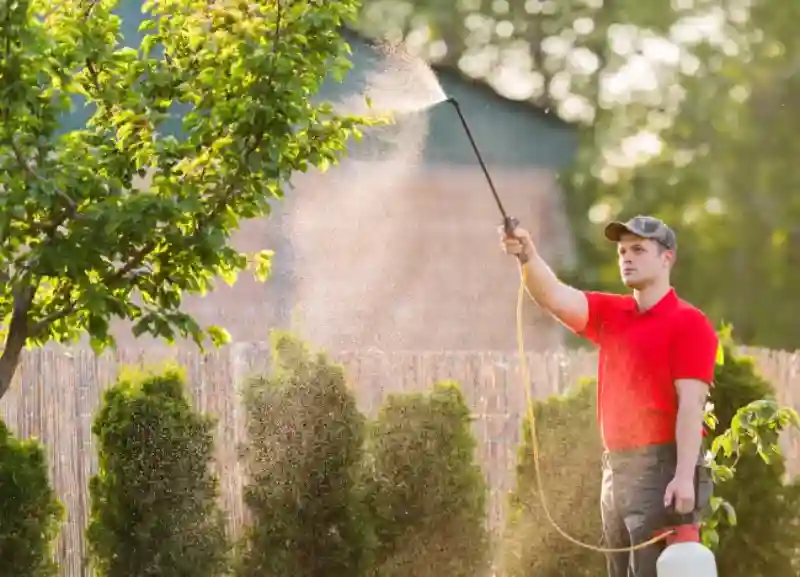 Reliable Lawn Fertilization Service in Van Nuys, CA 