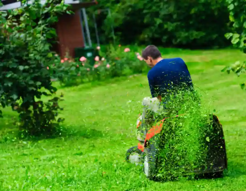 Reliable Lawn Mowing Services in Van Nuys, CA 