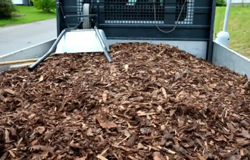 Outstanding Mulching Service in Van Nuys, CA 