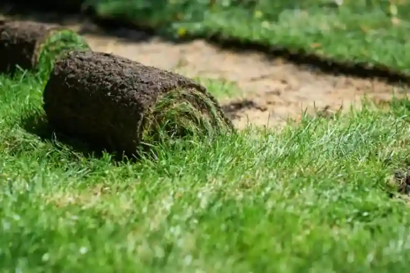 Reliable Sod Installation Service in Van Nuys, CA 