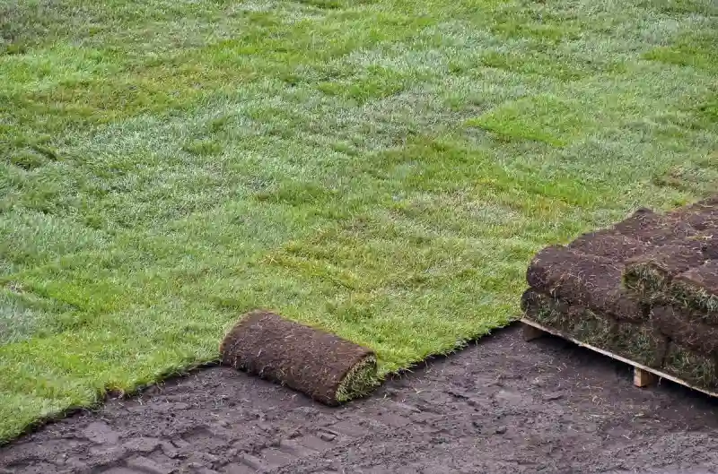 Outstanding Sod Installation Service in Van Nuys, CA 