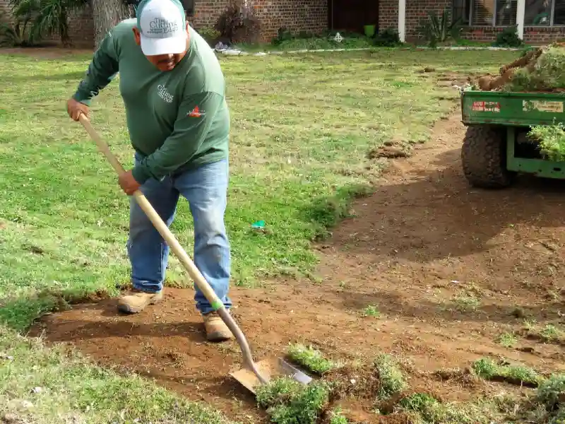 Professional Sod Installation Service in Van Nuys, CA 