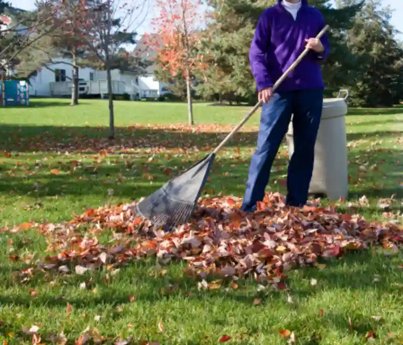 Reliable Yard cleanup Service in Van Nuys, CA 