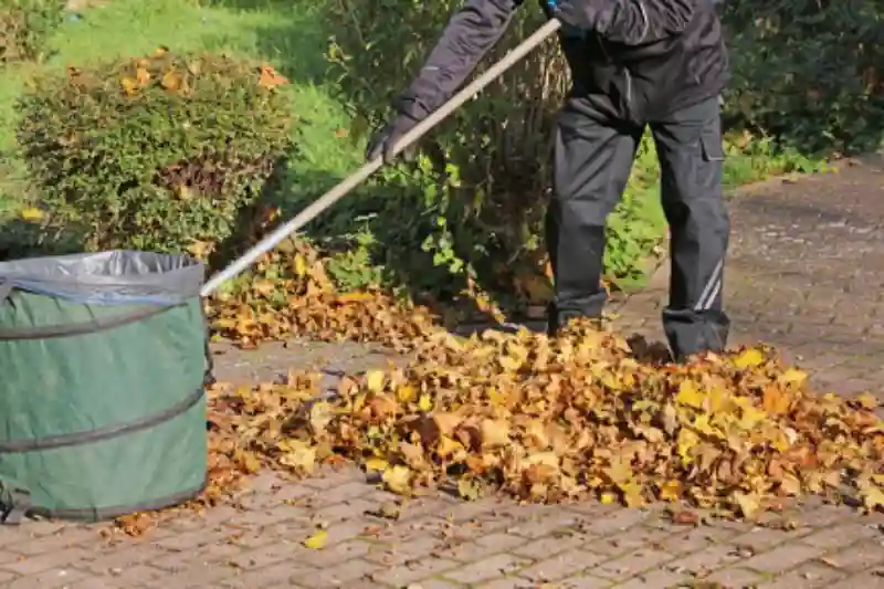 Professional Yard cleanup Service in Van Nuys, CA 